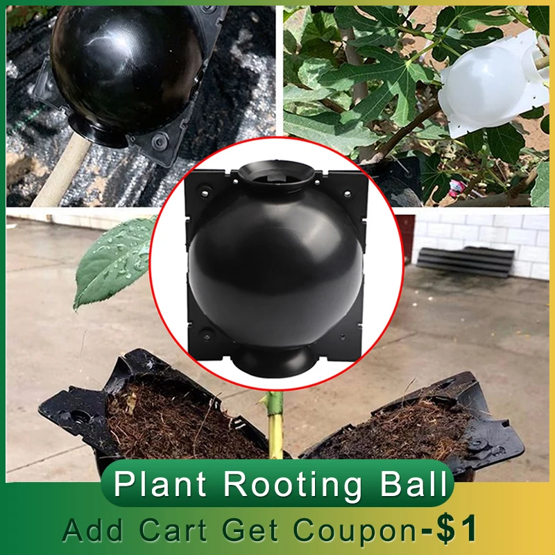 5pcs/10pcs Plant Rooting Ball Garden Plant Root Growing Box Grafting Rooting Growing Box Breeding Case
5pcs/10pcs Plant Rooting Ball Garden Plant Root Growing Box Grafting Rooting Growing Box Breeding Case