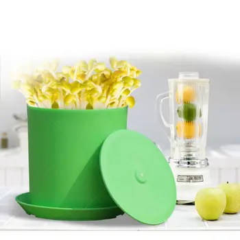 Seed Sprouter Germination Cover Bean Sprouts Filter Can Jar Sprouting Net Garden G99A
Seed Sprouter Germination Cover Bean Sprouts Filter Can Jar Sprouting Net Garden G99A