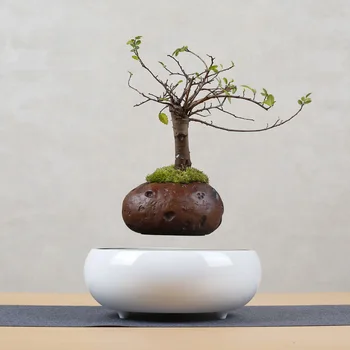 Maglev potted creative gifts furniture decoration DIY customized floating air potted wholesale manufacturers direct sales 
Maglev potted creative gifts furniture decoration DIY customized floating air potted wholesale manufacturers direct sales
