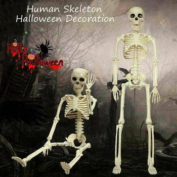 Haunted Home Props Broken Bone Skull Insult Horror Halloween Party Haunted Room Escape Artificial Human Skeletons 
Haunted Home Props Broken Bone Skull Insult Horror Halloween Party Haunted Room Escape Artificial Human Skeletons