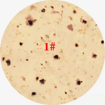 Super Soft Warm Flannel Burrito Blankets Round Shape Airplane Travel Throw Coral Fleece Tortilla Nap Wrap Blankets 
Super Soft Warm Flannel Burrito Blankets Round Shape Airplane Travel Throw Coral Fleece Tortilla Nap Wrap Blankets