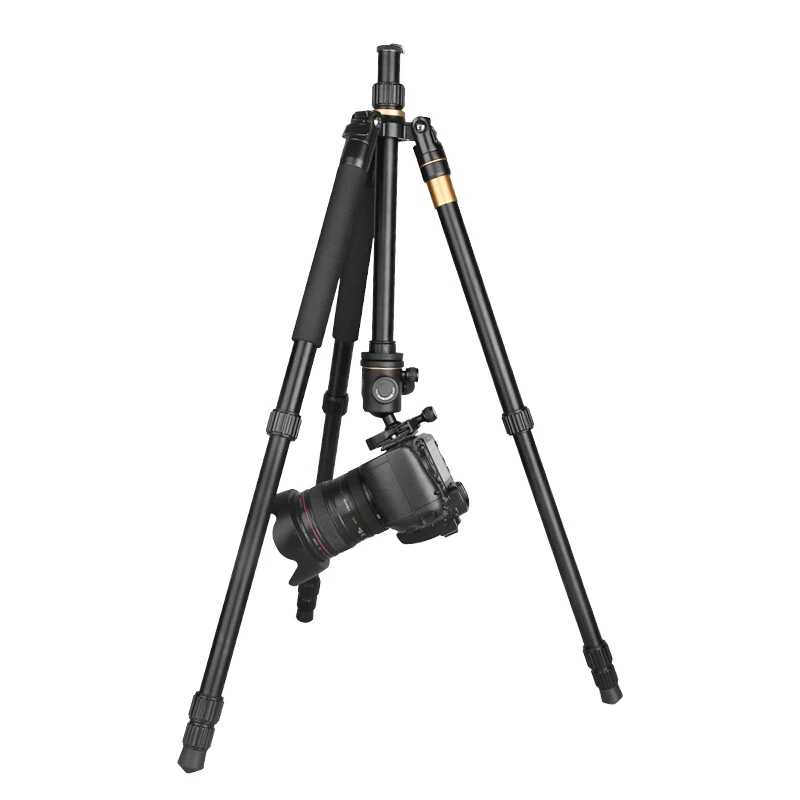 High Quality Q222 for Canon for Nikon for Sony DSLR Photography Portable Mulit-function Mini Tripod Photo Studio Foldable Tripod
High Quality Q222 for Canon for Nikon for Sony DSLR Photography Portable Mulit-function Mini Tripod Photo Studio Foldable Tripod