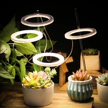 LED Angel Three Ring Grow Light DC5V USB Phytolamp For Plants Full Spectrum Lamp For Indoor Plant Seedlings Home Flower Succulet
LED Angel Three Ring Grow Light DC5V USB Phytolamp For Plants Full Spectrum Lamp For Indoor Plant Seedlings Home Flower Succulet