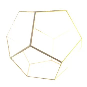 Dodecahedron Glass Greenhouse Green Plant Transparent Creative Moss Micro Landscape Fleshy Flower Pot
Dodecahedron Glass Greenhouse Green Plant Transparent Creative Moss Micro Landscape Fleshy Flower Pot