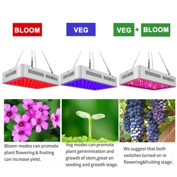 1000W LED Plant Grow Light Lamps For Flower Plant Veg Hydroponics System Grow/ Tent
1000W LED Plant Grow Light Lamps For Flower Plant Veg Hydroponics System Grow/ Tent