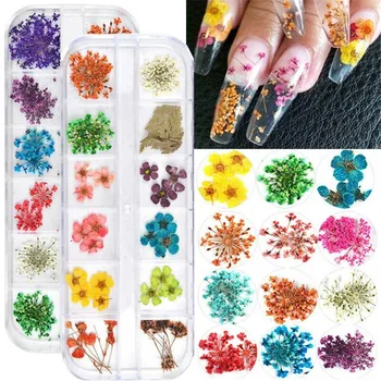 1Box Mix Colors Dried Flower Flower for Nail Art Decorations Mixed Natural Nail Flower Dry Flower Ornaments Manicure Accessories
1Box Mix Colors Dried Flower Flower for Nail Art Decorations Mixed Natural Nail Flower Dry Flower Ornaments Manicure Accessories