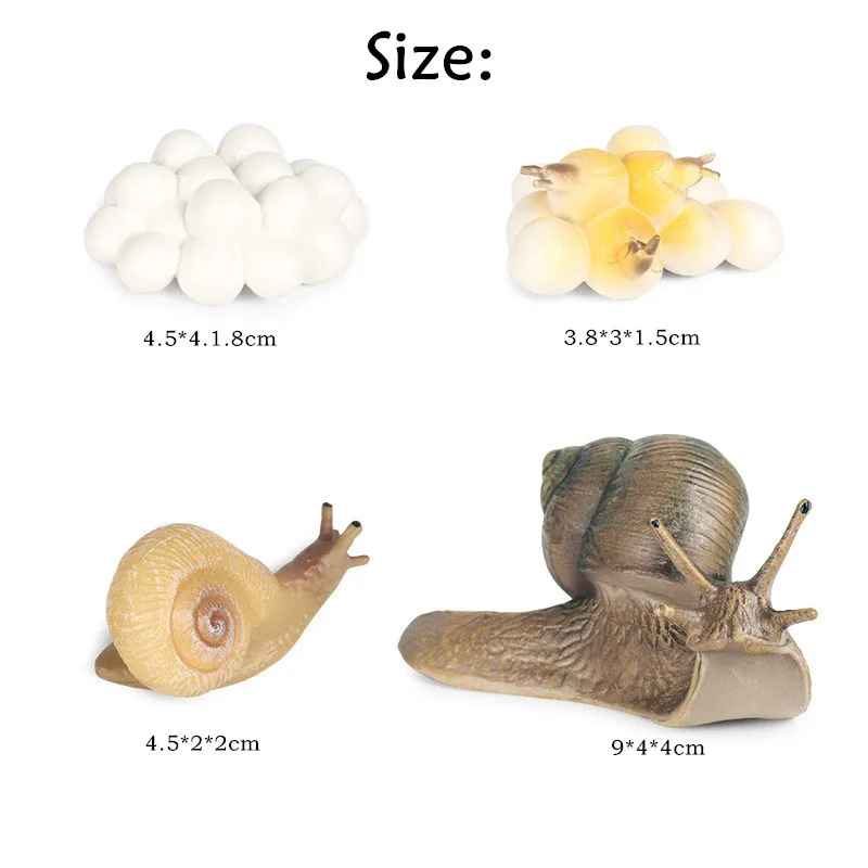 21943906032_1464955482_副本a