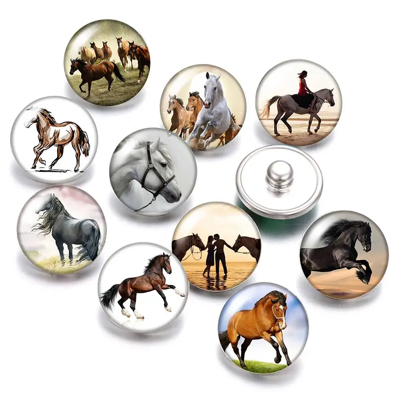 Horse Panda Swan giraffe Tiger Animals 18mm snap buttons 10pcs mixed round photo glass cabochon style for snap button jewelry
Horse Panda Swan giraffe Tiger Animals 18mm snap buttons 10pcs mixed round photo glass cabochon style for snap button jewelry