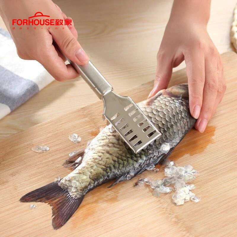 Kitchen Tools Cleaning Fish Skin Stainless Steel Fish Scraper Brush Remover Cleaner Descaler Skinner Scaler Fishing Tools
Kitchen Tools Cleaning Fish Skin Stainless Steel Fish Scraper Brush Remover Cleaner Descaler Skinner Scaler Fishing Tools