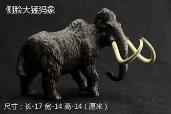 Animal model toy prehistoric ice age mammoth Creative arts and crafts ornaments Furnishing props model wild crafts room Home
Animal model toy prehistoric ice age mammoth Creative arts and crafts ornaments Furnishing props model wild crafts room Home