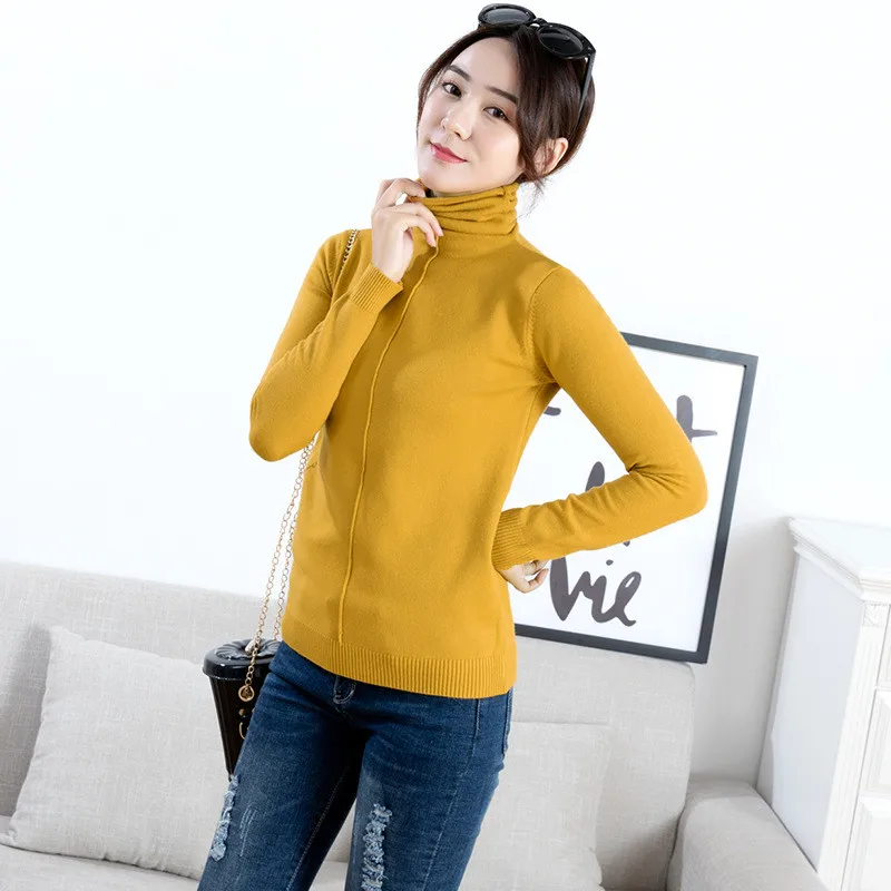 Autumn Winter Turtleneck Long Sleeve Pullover Women Sweaters Casual Korean Basic Solid Knit Tops Soft comfortable Sweater Female
Autumn Winter Turtleneck Long Sleeve Pullover Women Sweaters Casual Korean Basic Solid Knit Tops Soft comfortable Sweater Female