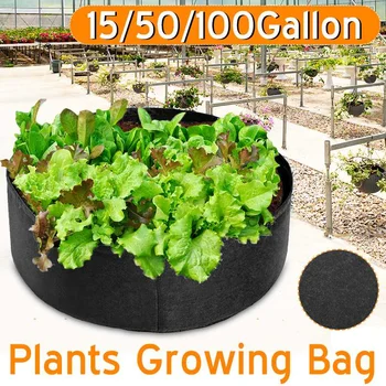 15/50/100 Gallon Large Plant Grow Bag home garden Potato Pot Greenhouse Vegetable Growing Bag Garden Jardin Seedling Growing Bag
15/50/100 Gallon Large Plant Grow Bag home garden Potato Pot Greenhouse Vegetable Growing Bag Garden Jardin Seedling Growing Bag