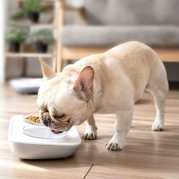 Dog Bowl Teddy Bixiong diagonal double bowl protection cervical vertebra dog bowl anti-overturning cat bowl rice bowl pet
Dog Bowl Teddy Bixiong diagonal double bowl protection cervical vertebra dog bowl anti-overturning cat bowl rice bowl pet