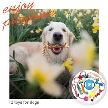 Dog Toys Dog Ropes Chew Toys For Medium And Small Dogs Dental Teething Toys For Dogs Traning Outdoor Puppies 1Set 
Dog Toys Dog Ropes Chew Toys For Medium And Small Dogs Dental Teething Toys For Dogs Traning Outdoor Puppies 1Set