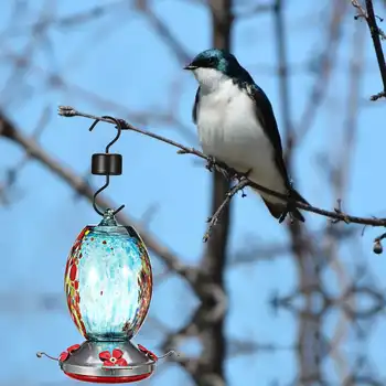 Bird Feeder Hummingbird Feeder Bird Perch For Outdoors Patio Hand Blown Glass Hummingbird Feeder
Bird Feeder Hummingbird Feeder Bird Perch For Outdoors Patio Hand Blown Glass Hummingbird Feeder