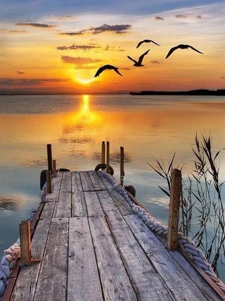 Diamond Painting Landscape 5D DIY Full Square Drill Diamond Mosaic Scenery Resin Birds Embroidery Sundown Decor Home Decoration
Diamond Painting Landscape 5D DIY Full Square Drill Diamond Mosaic Scenery Resin Birds Embroidery Sundown Decor Home Decoration