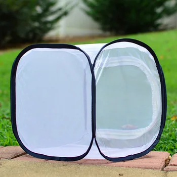 Plant Portable Catcher Nursery Incubator Net Cloth Breeding Butterfly Enclosure Insect Cage Folding Light Transmission Trap
Plant Portable Catcher Nursery Incubator Net Cloth Breeding Butterfly Enclosure Insect Cage Folding Light Transmission Trap