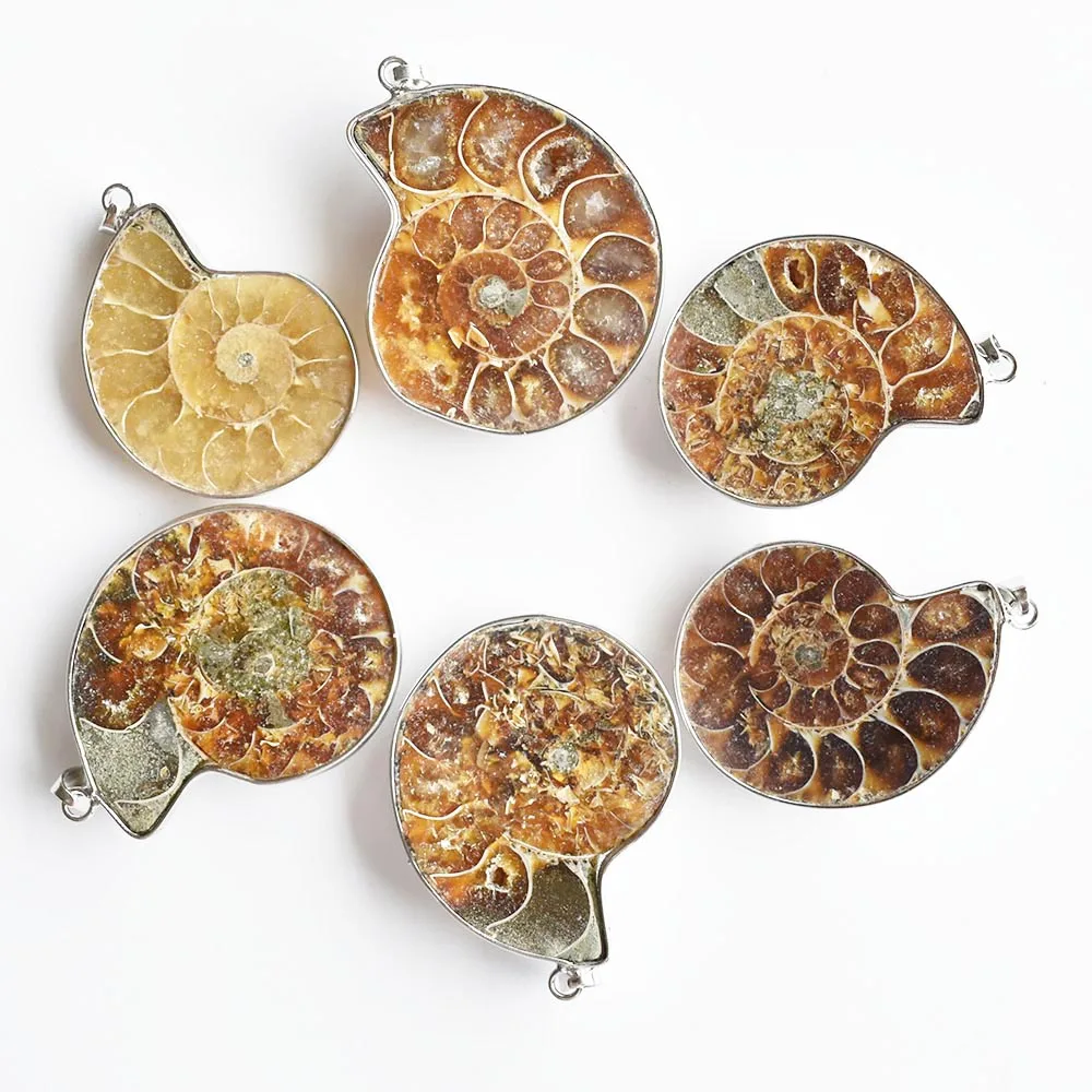 

Wholesale 6pcs/lot fashion Natural Stone Ammonite Snail shell Conch pendants for jewelry Accessories making free shipping
