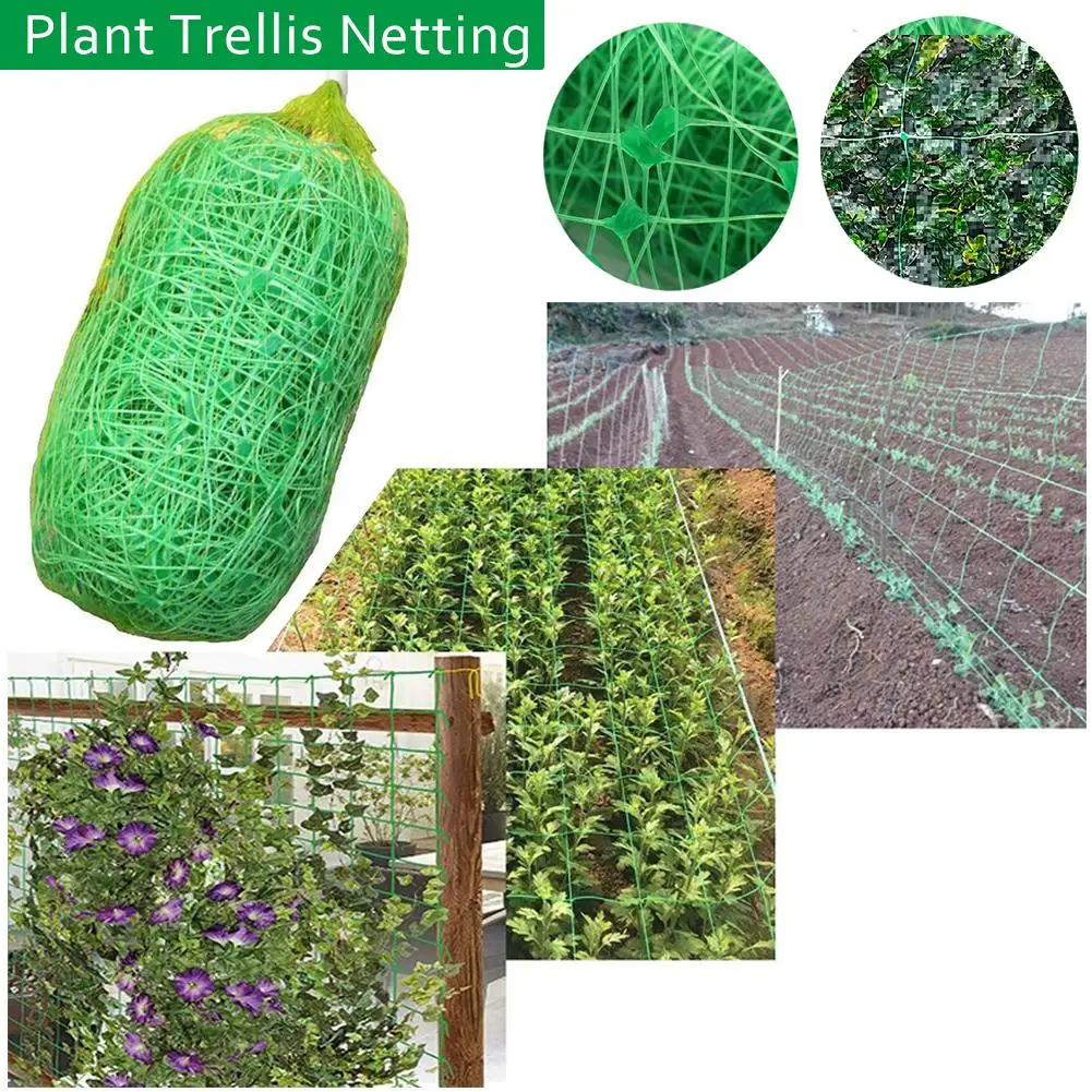 Plant Trellis Netting Garden Climbing Netting Nylon Plant Trellis For Bean Fruits Vegetables Climbing Plants Garden Supplies
Plant Trellis Netting Garden Climbing Netting Nylon Plant Trellis For Bean Fruits Vegetables Climbing Plants Garden Supplies