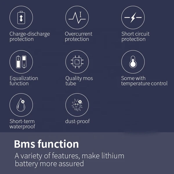 BMS-2