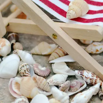 Small 40Pcs Beach Mixed Sea Shell Real Sea Shell Mix Sea Shell Starfishes Shells Craft SeaShell Aquarium Decal Decor Crafts
Small 40Pcs Beach Mixed Sea Shell Real Sea Shell Mix Sea Shell Starfishes Shells Craft SeaShell Aquarium Decal Decor Crafts