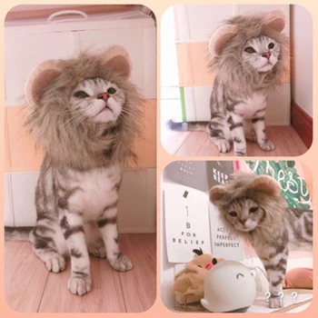 Pet Supplies Wholesale Dogs and Cats Headdresses Wig Hats Pet Hoods Dogs and Cats Clothing Decorations Lions Hoods
Pet Supplies Wholesale Dogs and Cats Headdresses Wig Hats Pet Hoods Dogs and Cats Clothing Decorations Lions Hoods