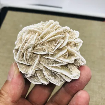 KiWarm Natural Desert Rose Selenite Crystal Stone Flower for Healing Home Table Fish Tank Ornaments Decor Stone Crafts 
KiWarm Natural Desert Rose Selenite Crystal Stone Flower for Healing Home Table Fish Tank Ornaments Decor Stone Crafts