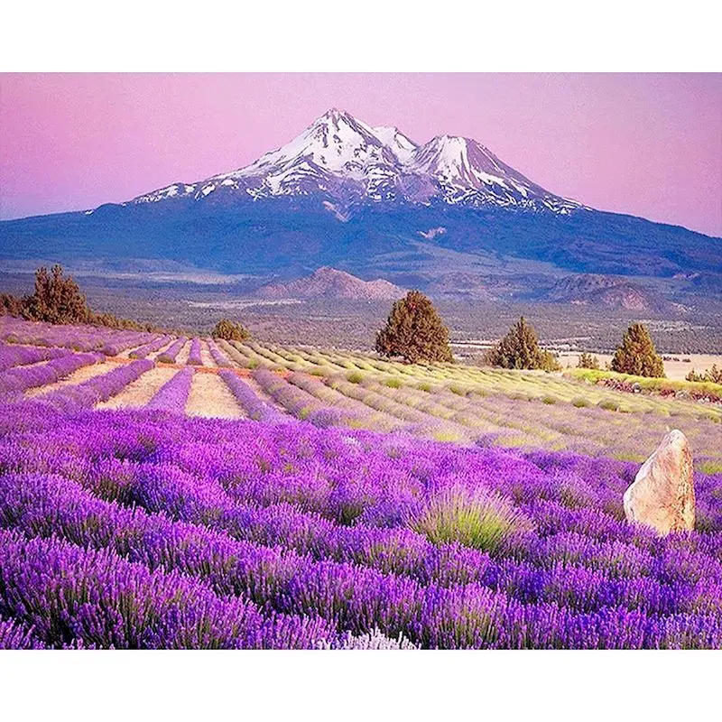 GATYZTORY Frame Diy Painting By Numbers Lavender Landscape Paint By Number Handpainted Wall Decor Frame Gift
GATYZTORY Frame Diy Painting By Numbers Lavender Landscape Paint By Number Handpainted Wall Decor Frame Gift