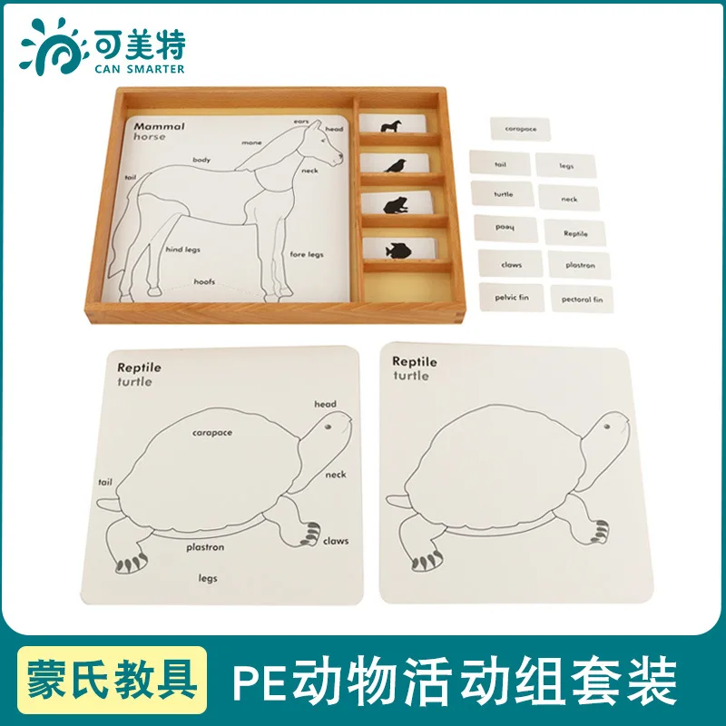 Montessori China Science Publishing & Media Ltd.(cspm) Teaching Aids PE Card Understanding Animal And Plant Parts Name Kindergar
Montessori China Science Publishing & Media Ltd.(cspm) Teaching Aids PE Card Understanding Animal And Plant Parts Name Kindergar