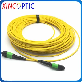 SM,12cores,1/3/5/10/15/20/25M,MPO/APC (F)-MPO/APC (F),MPO Female Fiber Optic Patch Cord,B Type,3.0mm LSZH Mini Round Cable
SM,12cores,1/3/5/10/15/20/25M,MPO/APC (F)-MPO/APC (F),MPO Female Fiber Optic Patch Cord,B Type,3.0mm LSZH Mini Round Cable