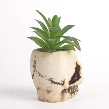 Artificial Resin Human Skull Design Flower Pot Planter Container Skull Bowl for Home Bar Cafe Desk Decoration Ornaments
Artificial Resin Human Skull Design Flower Pot Planter Container Skull Bowl for Home Bar Cafe Desk Decoration Ornaments