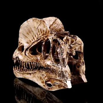 Dilophosaurus Dinosaur Skull Resin Crafts Fossil Skeleton Teaching Model Halloween Home Office Decoration
Dilophosaurus Dinosaur Skull Resin Crafts Fossil Skeleton Teaching Model Halloween Home Office Decoration