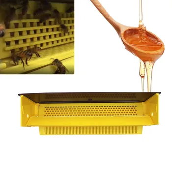 Beekeeping Tool Pollen Collector Durable Plastic Multifunctional Powder Remover Bee Beehive Pollen Box Powder Collecting Box
Beekeeping Tool Pollen Collector Durable Plastic Multifunctional Powder Remover Bee Beehive Pollen Box Powder Collecting Box