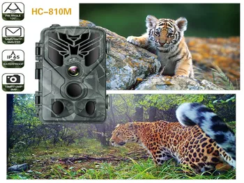 Infrared Camera Equipment 16MP1080P Hunting Accessory Infrared Camera Outdoor Portable HC-810M 2G Waterproof High Definition
Infrared Camera Equipment 16MP1080P Hunting Accessory Infrared Camera Outdoor Portable HC-810M 2G Waterproof High Definition