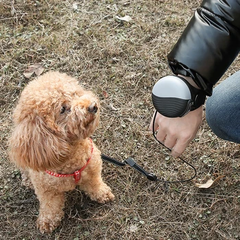 Hands Free Dog Leash Durable Automatic Retractable 3M Walking Nylon Leashes For Medium Small Dogs & Cat Pet Product
Hands Free Dog Leash Durable Automatic Retractable 3M Walking Nylon Leashes For Medium Small Dogs & Cat Pet Product