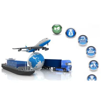 Women Skateboarding
Women Skateboarding