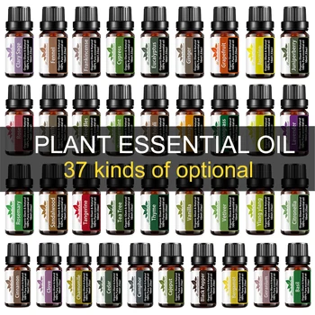 White Musk Essential Oils For Aromatherapy Diffusers Massage Fragrances Oil Aroma Oils Fresh Linen Mango Essential Oils
White Musk Essential Oils For Aromatherapy Diffusers Massage Fragrances Oil Aroma Oils Fresh Linen Mango Essential Oils