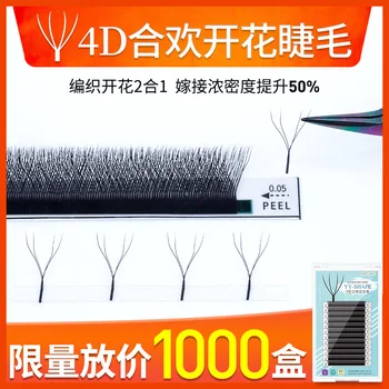 Clover Graft Eyelashes Albizia Julibrissin round V Soft W YY Upgrade Section 4D Second Flowering Planting False Eyelashes
Clover Graft Eyelashes Albizia Julibrissin round V Soft W YY Upgrade Section 4D Second Flowering Planting False Eyelashes