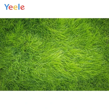 Yeele Green Screen Backdrop Grass Nature Travel Newborn Baby Birthday Party Photography Background For Photo Studio Photocall
Yeele Green Screen Backdrop Grass Nature Travel Newborn Baby Birthday Party Photography Background For Photo Studio Photocall