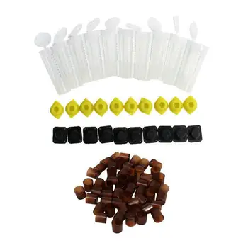 Beekeeping Cupkit 100 Cell Cups Bee Tool Set Queen Helper Rearing Apiculture Cage Complete Nicot Bee Catcher System H7Z9
Beekeeping Cupkit 100 Cell Cups Bee Tool Set Queen Helper Rearing Apiculture Cage Complete Nicot Bee Catcher System H7Z9