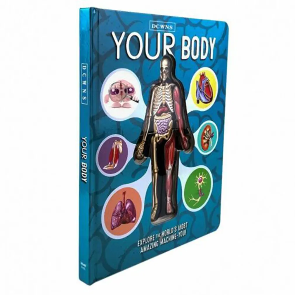 Human Body 3D Picture Book Anatomy of in English Popular Science Book Early Education Book Kid Xmas Gift
Human Body 3D Picture Book Anatomy of in English Popular Science Book Early Education Book Kid Xmas Gift