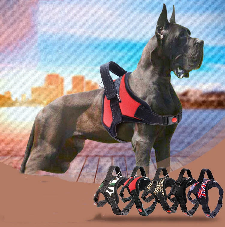 Pet Dog Harness Breathable Vest Harness for Dogs Puppy Cat Pets Chest Strap Leash Collar Vest Tank Tops For Small Dogs Supplies
Pet Dog Harness Breathable Vest Harness for Dogs Puppy Cat Pets Chest Strap Leash Collar Vest Tank Tops For Small Dogs Supplies
