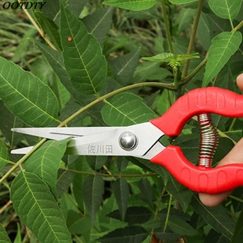 Stainless Steel Garden Plant Pruning Scissors Cutter Grass Flower Shears Secator Grafting Hand Pruner Gardening Tool
Stainless Steel Garden Plant Pruning Scissors Cutter Grass Flower Shears Secator Grafting Hand Pruner Gardening Tool