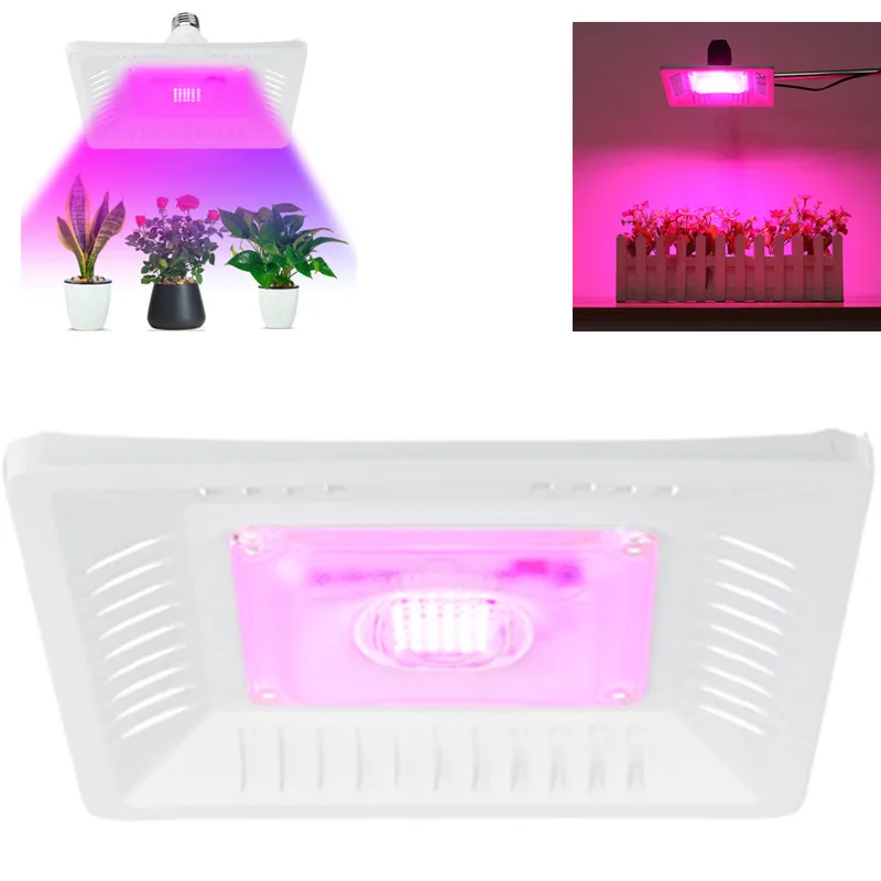Led Grow Light Full Spectrum Plant Lighting for Plants Flowers Seedling LED Plants Grow Lights Cob for Indoor Box Plant Lamp 
Led Grow Light Full Spectrum Plant Lighting for Plants Flowers Seedling LED Plants Grow Lights Cob for Indoor Box Plant Lamp