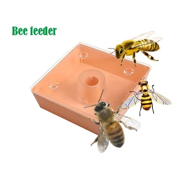 Square Bee Feeder Beekeeping Tools Convenient Large Capacity Non-toxic Honey Equipment Water Bee Water Feeder for Apiary
Square Bee Feeder Beekeeping Tools Convenient Large Capacity Non-toxic Honey Equipment Water Bee Water Feeder for Apiary