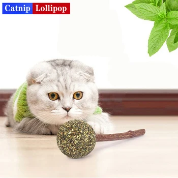 1Pcs Pet Cat Natural Fresh Cat Mint Ball with Catnip Stick Teeth Cleaning Cat Playing Chew Toys 
1Pcs Pet Cat Natural Fresh Cat Mint Ball with Catnip Stick Teeth Cleaning Cat Playing Chew Toys