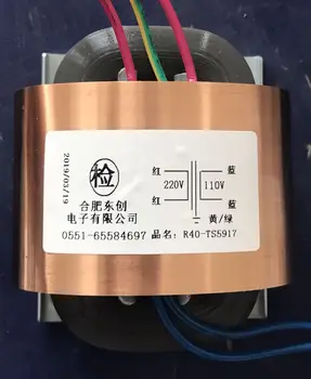 110V 0.45A R Core Transformer 50VA 220V input R40 custom transformer copper shield Isolation transformer for amplifier
110V 0.45A R Core Transformer 50VA 220V input R40 custom transformer copper shield Isolation transformer for amplifier