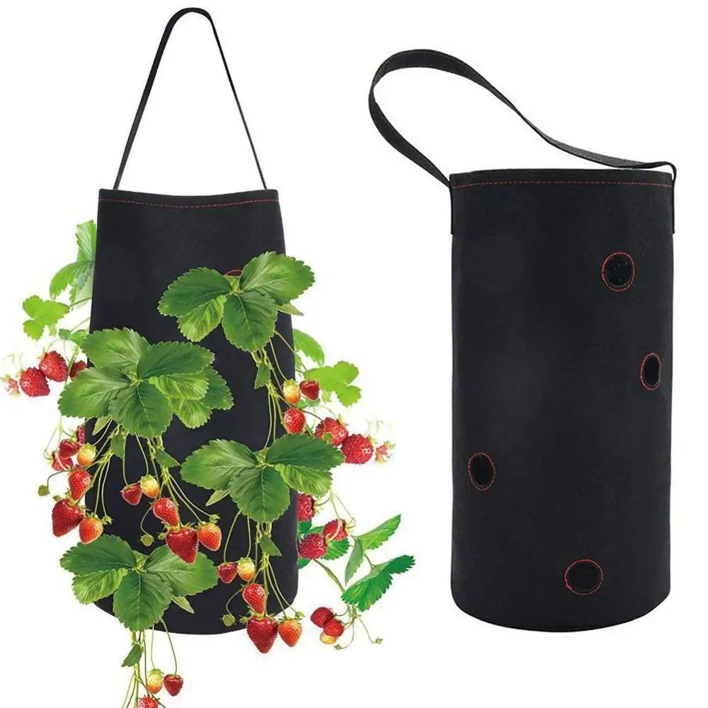 Strawberry Planting Growing Bag DIY PE Fabrics Container Bags Grow Planter Pouch Root Bonsai Plant Pot Garden Supplies
Strawberry Planting Growing Bag DIY PE Fabrics Container Bags Grow Planter Pouch Root Bonsai Plant Pot Garden Supplies