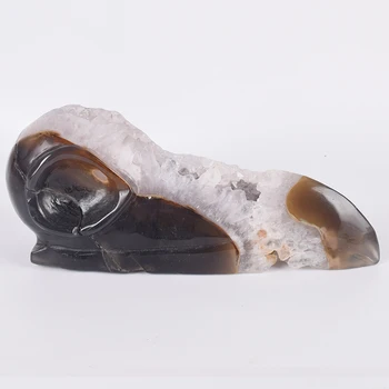 8.5 Inch Big Bird Beak Figurine Natural Crystal Agate Hand Carved Animals Craft Bird Skull statue For Home Decoration Healing
8.5 Inch Big Bird Beak Figurine Natural Crystal Agate Hand Carved Animals Craft Bird Skull statue For Home Decoration Healing