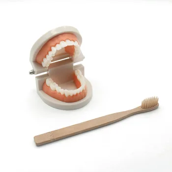 Montessori Practical Life Material Simulated Tooth Brushing Teeth Learning Exercise Educational Juguetes Montessori C1164H
Montessori Practical Life Material Simulated Tooth Brushing Teeth Learning Exercise Educational Juguetes Montessori C1164H